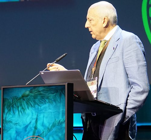 Partecipazione italiana all’ECR 2019 Vienna